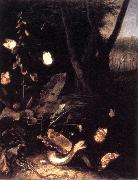 Still-life with Plants and Reptiles ery SCHRIECK, Otto Marseus van